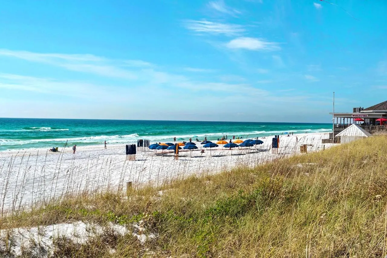 Ariel Dunes II 1509 Destin 0*,  United States